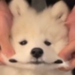 [NCT즌] <b>늦덕</b>인데 예쁜 앨범추천해줘