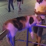 [댓글부탁해] 나보다 <b>얼</b><b>빠</b>인 여자 ㄹㅇ 없을듯