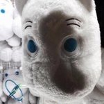 [NCT즌] 악 툥 <b>탐구</b>생활 내놔