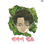 [진격의거인] ㅅㅍ 개찌통짤