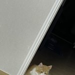 내 <b>일룸</b> 책상 위의 개념원리 수학 (상) 자랑