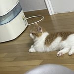 우리집 제습기 자랑 ㅎㅎ