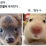 [NCT즌] 찌찌들 <b>잘</b><b>자</b> 너희가 자랑스러웠어