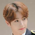 현재는 갈발 오대오