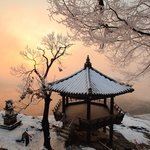 I <b>can</b> understand his sadness