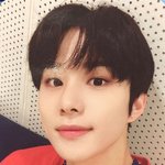 [NCT즌] 포카 가격 좀 봐주라