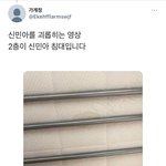 걸그룹 보토패스 따돌림/그룹폭력
