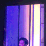 새준 짤털