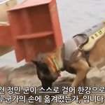 [댓글부탁해] 한강 의대생 사건 시신유기하는 장면처럼 보이는거 나왔어