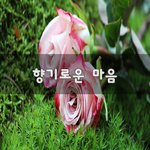 [좋은생각] <b>향기</b>로운 마음~
