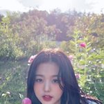 [드루와] 나 같은<b>학군</b> 전학가는데 궁금한거있냐