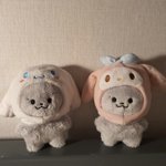 [드루와] ㅅㅂ낼까지 택배받아야되는데