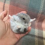 [댓글부탁해] 쌍수 할까 말까? 사진은 <b>미방</b>