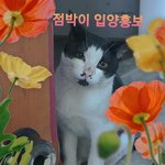 엄마 아빠를 찾아요