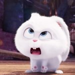 이번 <b>에스파신곡</b> 소신발언.....