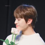 [골든차일드] 저 혹시 회사가 바뀌었나요??