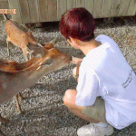 <b>기여</b>운 백혀니