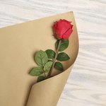 [댓글부탁해] <b>성년</b>의 날인데 ..