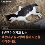 [이것좀봐줘] [청원요청] 부산 해운대 길고양이 <b>연쇄</b> 살해