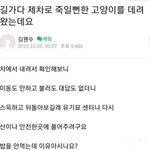 [드루와] 얘들아 이거 <b>보</b><b>셈</b> 너무 귀여움 ㅠㅠㅠㅠ