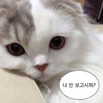 <b>양궁</b>하는 남친 선물