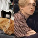 [에이티즈] 냐<b>옹이들</b>.. 개귀엽다