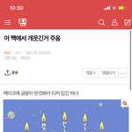 엑소 이거 뭐냐ㅋㅋㅋ