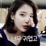 <b>악플러</b>