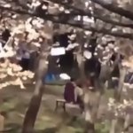<b>이사진</b> 한소희송강인데