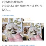 [<b>NCT</b>즌] 오늘 마쿠 드림 연습이었나보넹