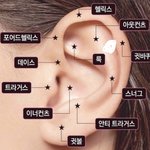 [댓글부탁해] 귀 뚫고 귀걸이 바꿔도 돼?