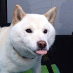 알바 붙었다!!!!!