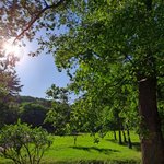 오늘은 기분전환겸 <b>산책</b>
