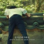 기여운 <b>세후</b>니