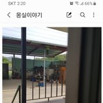 [이것좀봐줘] 깜짝 <b>놀란</b> 멍뭉이
