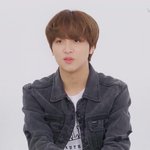 [NCT즌] 아.. 이해찬 <b>초코</b> 강쥐다..