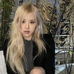 [심심] 진짜 얼마나 마른걸까