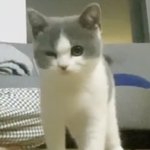[드루와] <b>가천대면</b> 공부못한건 아니지..?