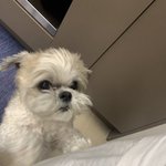 [더보이즈] 다<b>롱아</b> 밥 마니 먹엉