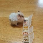 [NCT즌] 박지성 <b>애슐리</b>간거 목격담뜸