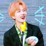 [NCT즌] 와 이거 ㄹㅇ동숲 그자체임
