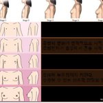 [19] ㄱ슴ㅅ 이거 4단계면 어느<b>정동</b>거야?