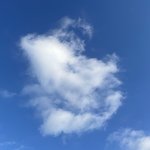 [댓글부탁해] 얘들아... 이거 사랑이냐? ;;
