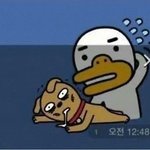[드루와] 판 <b>열품</b>타 들어올사람 ???