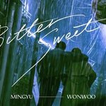 [세븐틴] 이거