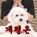 [EXO] 나 <b>퇴사</b>했다