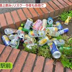 [19] 일본인의 <b>시민</b>의식