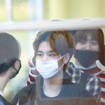 [NCT즌] 랫서<b>팬더</b> 그 자체