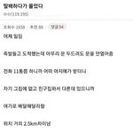 [드루와] 배달하다가 펑펑 운 <b>디시</b>인