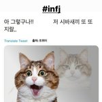[댓글부탁해] 아 진짜 끝도 없이 너무너무 불안한 걸..?ㅋㅋㅋ